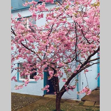 Albion Cottage Cockermouth Bagian luar foto