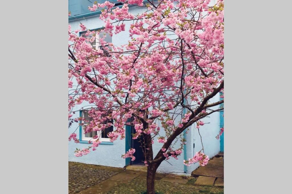 Albion Cottage Cockermouth Bagian luar foto