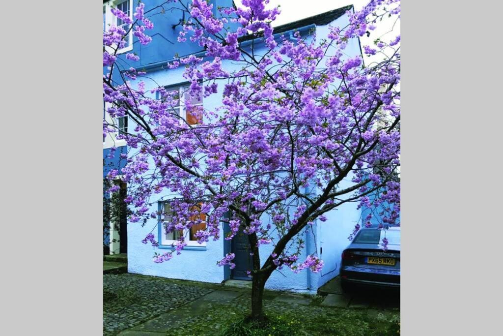 Albion Cottage Cockermouth Bagian luar foto